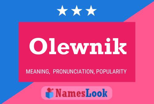 Olewnik Name Poster