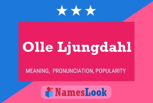 Olle Ljungdahl Name Poster