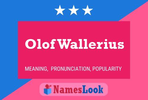 Olof Wallerius Name Poster