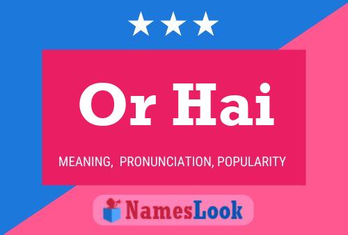 Or Hai Name Poster