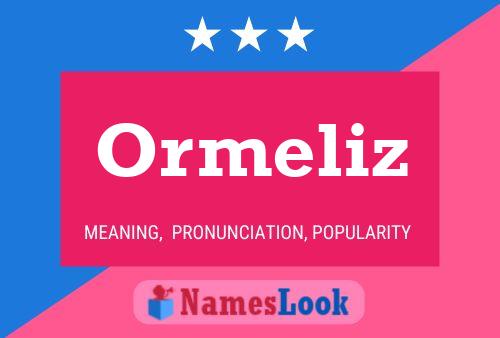 Ormeliz Name Poster