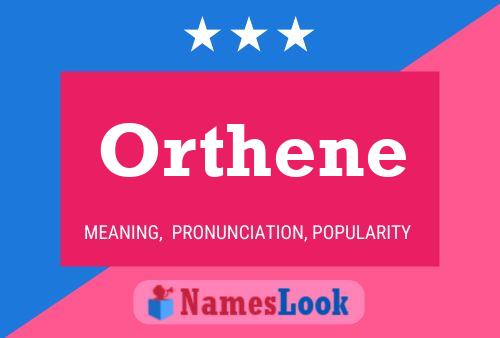 Orthene Name Poster