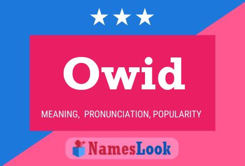 Owid Name Poster