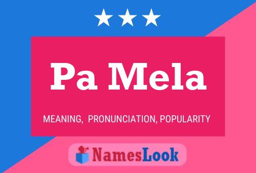 Pa Mela Name Poster