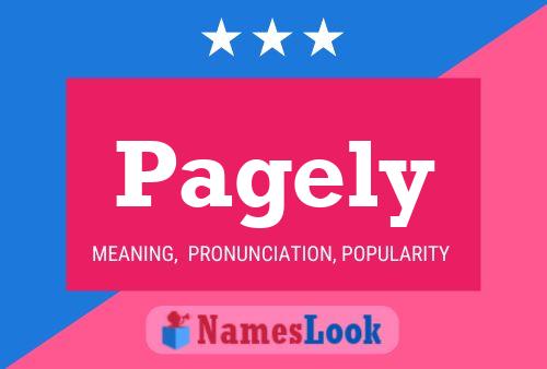 Pagely Name Poster