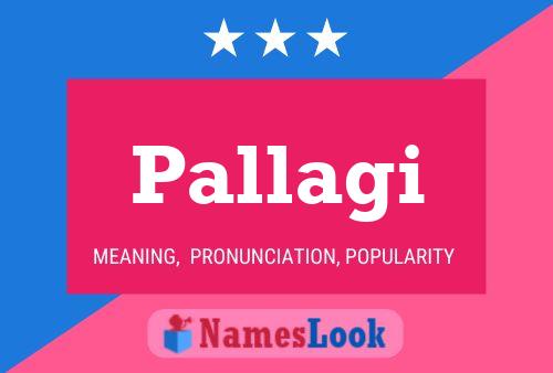 Pallagi Name Poster