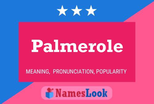 Palmerole Name Poster