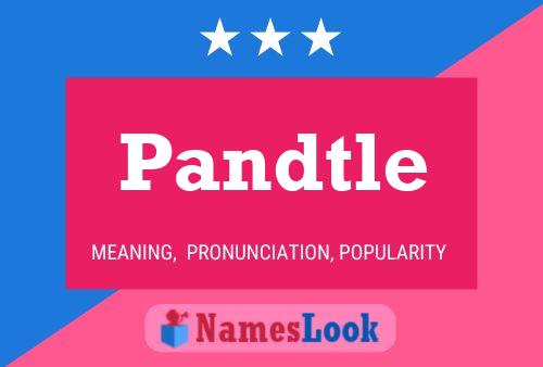 Pandtle Name Poster