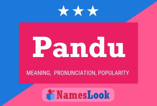 Pandu Name Poster