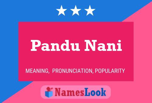 Pandu Nani Meaning Pronunciation Origin And Numerology Nameslook