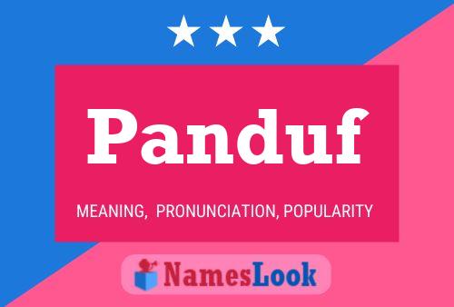 Panduf Name Poster