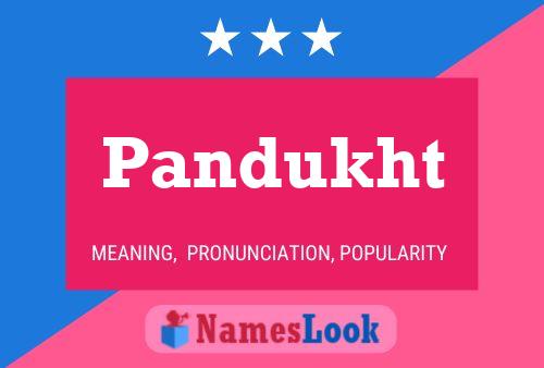 Pandukht Name Poster