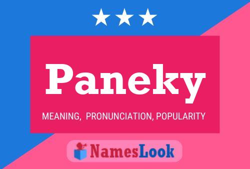 Paneky Name Poster