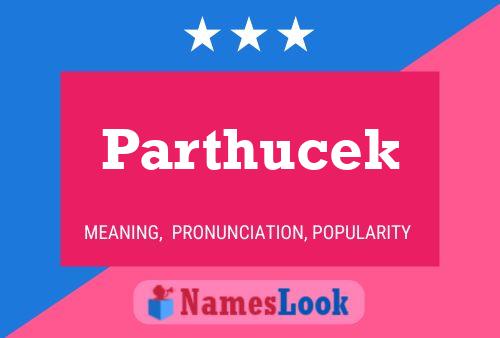 Parthucek Name Poster