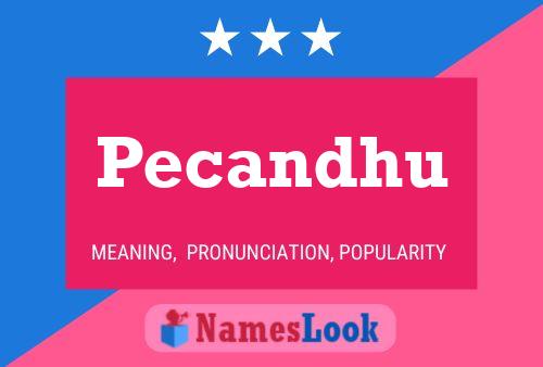 Pecandhu Name Poster