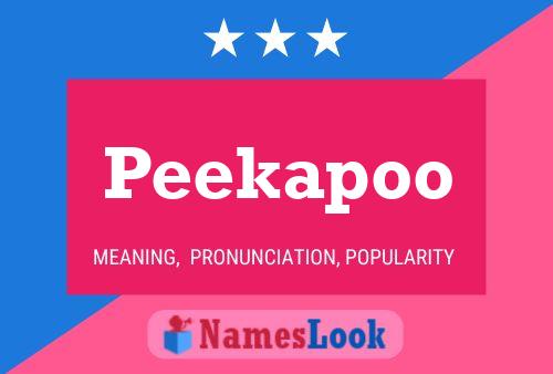 Peekapoo Name Poster