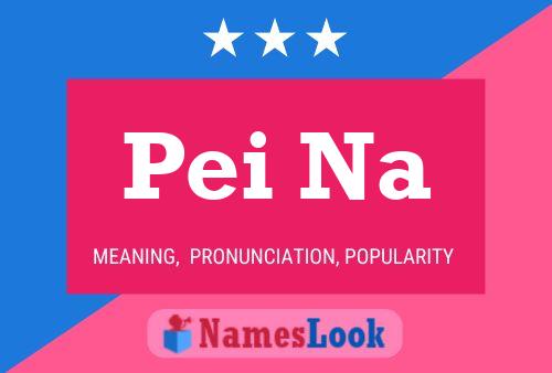 Pei Na Name Poster