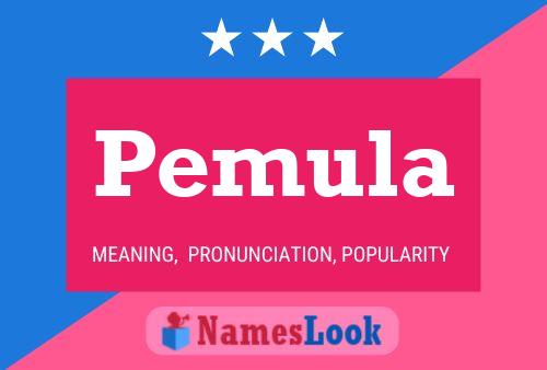 Pemula Name Poster