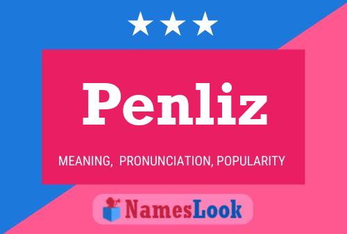 Penliz Name Poster