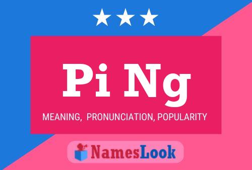 Pi Ng Name Poster