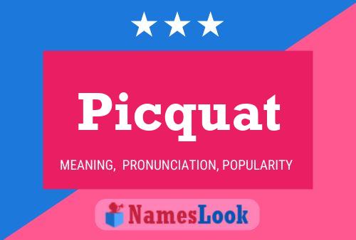 Picquat Name Poster