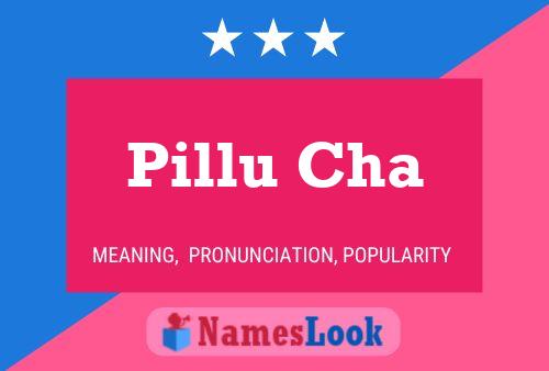 Pillu Cha Name Poster