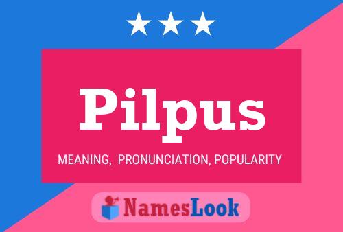 Pilpus Name Poster