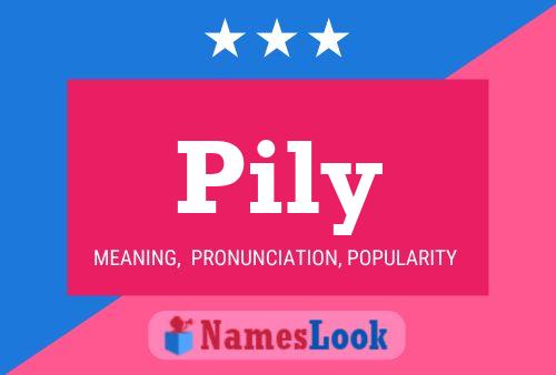 Pily Name Poster