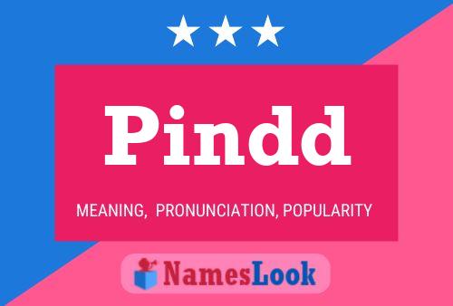 Pindd Name Poster