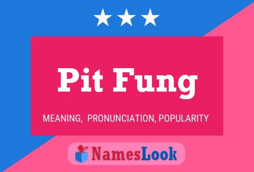 Pit Fung Name Poster