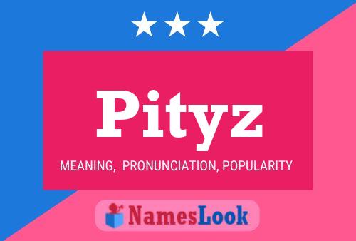 Pityz Name Poster