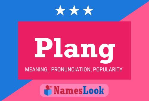 Plang Name Poster