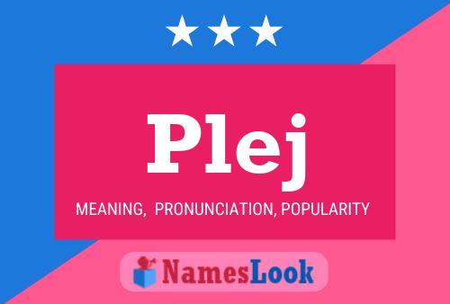 Plej Name Poster