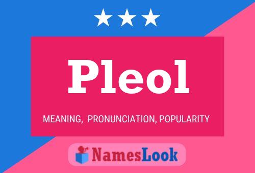 Pleol Name Poster