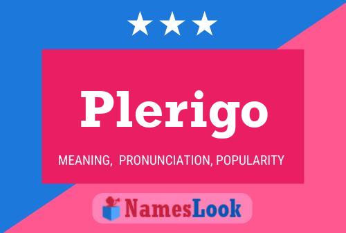 Plerigo Name Poster