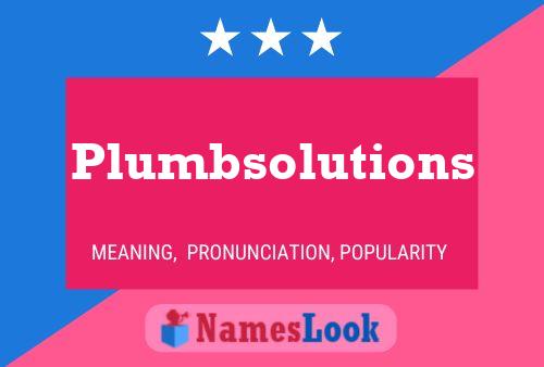 Plumbsolutions Name Poster