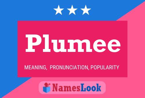 Plumee Name Poster