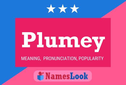 Plumey Name Poster