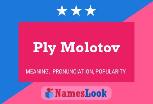 Ply Molotov Name Poster