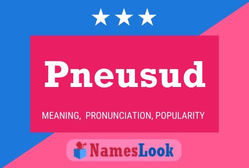 Pneusud Name Poster