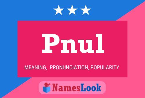 Pnul Name Poster