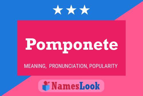 Pomponete Name Poster