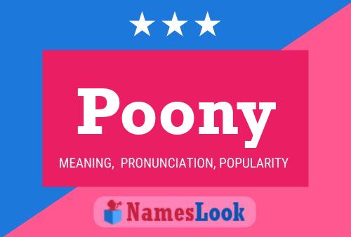 Poony Name Poster