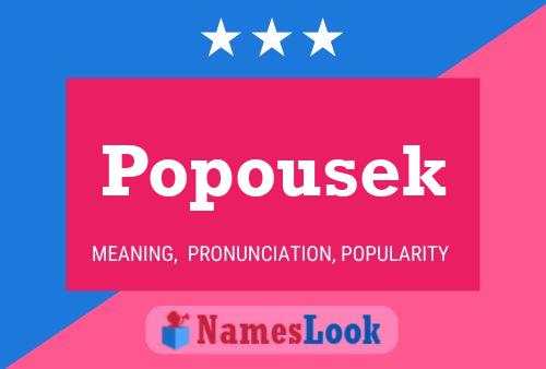 Popousek Name Poster