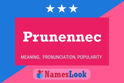 Prunennec Name Poster