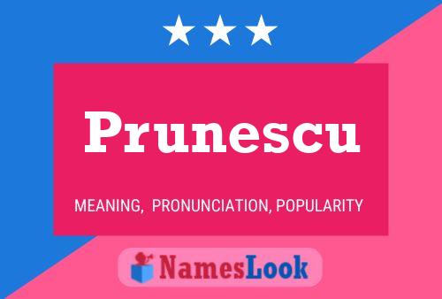 Prunescu Name Poster