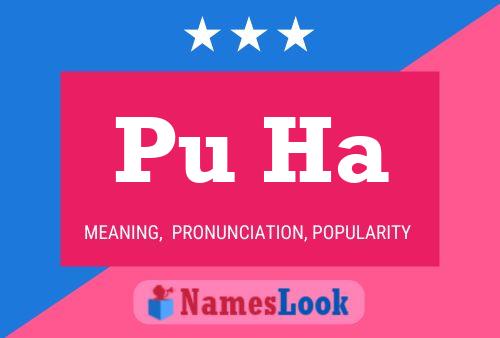 Pu Ha Name Poster