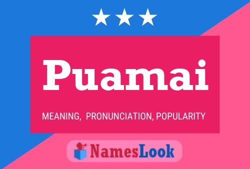 Puamai Name Poster