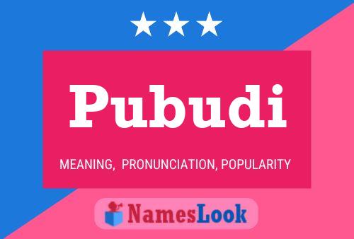 Pubudi Name Poster