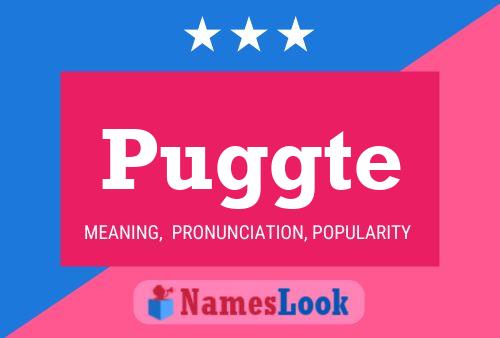 Puggte Name Poster